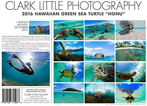 Clark Little 2016 Turtle Calendar