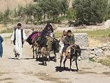 Aimaq People Walking and Riding Donkeys Entering Village, Between Chakhcharan and Jam, Afghanistan Art Photographic Poster Print by Jane Sweeney, 24x18