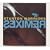 The Remixes