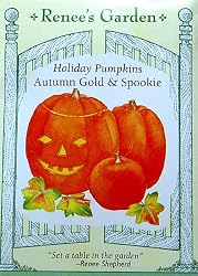 Pumpkin Seeds Autumn Gold and Spookie 20 Seeds