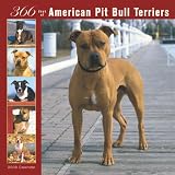American Pit Bull Terriers 366 Days 2008 Square Wall Calendar