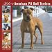 American Pit Bull Terriers 366 Days 2008 Square Wall Calendar