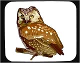 Mouse Pad with hoa, owl, animal, avian, bird, verb