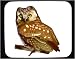 Mouse Pad with hoa, owl, animal, avian, bird, verb
