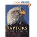 Raptors of North America: Natural History and Conservation
