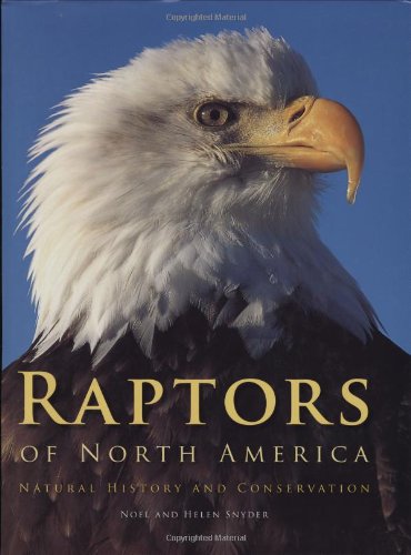raptors of north america natural history and conservation