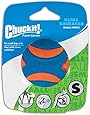 CHUCKIT! ULTRA SQUEAKER BALL