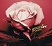 Musik (Pop) : Gotan Project Live