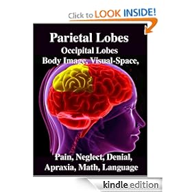 Parietal Lobes: Occipital Lobes, Body Image, Visual-Space, Pain, Neglect, Denial, Apraxia, Math, Language