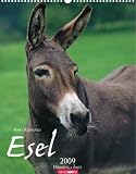 Esel 2009 - Hans Reinhard, Nils Reinhard