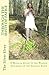 Through the Mists of Faerie: A Magical Guide to the Wisdom Teaching of the Ancient Elven