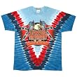 Lynyrd Skynyrd - Freebird Tie Dye T-Shirt
