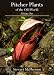 Pitcher Plants of the Old World: v. 1
