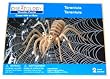 Creatology Wooden 3D Puzzle - Tarantula Spider (1 Each)