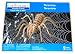 Creatology Wooden 3D Puzzle - Tarantula Spider (1 Each)