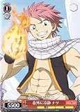 �y���@�C�X�V�����@���c�z�sFAIRY TAIL�@�t�F�A���[�e�C���t�@�ӊO�ɗ�Á@�i�c�@C fts09-068 �摜
