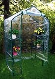 Tubular Steel Walk In Greenhouse with PVC Cover