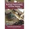 My Favorite Books and Tools for Home Staging