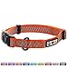 Pawtitas Traffic Collar Puppy Collar Traffic Orange Collar Reflective Dog Collar Extra Small Dog Collar Orange Dog Collar