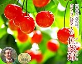 ロイヤルガストロ 100年続く老舗農家の4代目名人・遠藤氏作。極上さくらんぼ「佐藤錦」(Lサイズ/約300g)【山形県産】【産地直送】【100年畑】