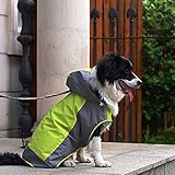 i'Pet® Dog Hooded Rain Slicker Waterproof Jacket Dog Rain Poncho Rain Coat for Medium to Large Dogs for Golden Retriever, Samoyed, Akita, Labrador Retriever, Brittany Spaniel, Huskies, Bulldog, Collie, Schnauzer, Springer Spaniel Breeds (12, Green)