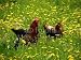Wallmonkeys Peel and Stick Wall Decals - Roster and Chicks in Long Grass - Removable Graphic