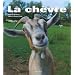 Ch�vre