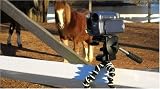 picture of Joby Gorillapod for Canon 450D, 1000D,500D, Nikon D3000, D5000,D90, Sony Alpha DLSR Range, and Panasonic G1 Series - SLR Zoom