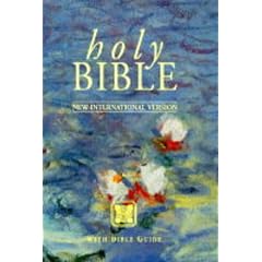 Bible: New International Version Popular Edition, Inclusive Language (Bible Niv)