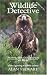 Wildlife Detective: A Life Fighting Wildlife Crime