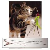 Da Bird: The Original Interactive Feather Cat Toy