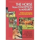 The Horse from Conception to Maturity by Peter Rossdale and Melanie Bailey