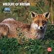 Wildlife of Britain 2013 Calendar
