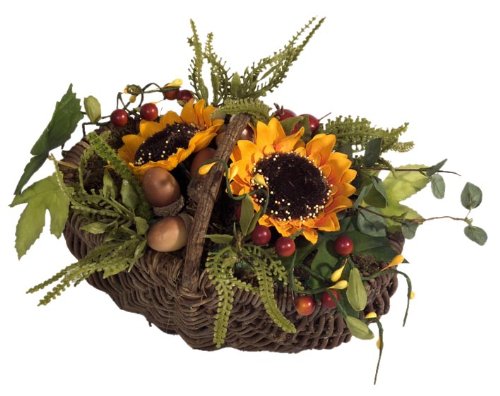 Brauns-Heitmann 82209 Weiden - Korb Sonnenblume Preisvergleich