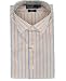 Polo Ralph Lauren Striped Dress Shirt
