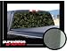 Pure Vision Graphics