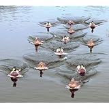 Mojo Outdoors Jerk A Spreader