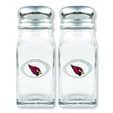 NFL Arizona Cardinals Glass Salt & Pepper Shakers
