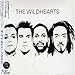 The Wildhearts 2007 �i'07�j