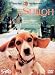 ビーグル犬 シャイロ 特別版 [DVD]