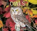 Owls 2010 (Calendar)