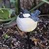 Portly - on Garden Stake ""Chelsea the Chickadee"" by Evergreen