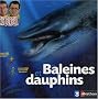 Baleines et dauphins