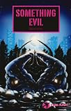 Something Evil (Dark Flight)