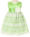 New Lacey Taffeta Party Dress sz 6M to 24M ~ Blue, Pink, Lime or Ivory