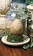 Tuscan Glass Dome Bell Jar Cloche Terrarium with Terra Cotta Base