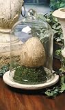 Terrariums