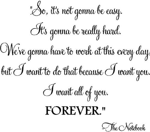 The Notebook Love Quote Vinyl Wall Decal