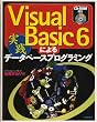 Visual Basic6�ɂ����H�f�[�^�x�[�X�v���O���~���O