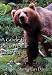 A Guide to Brown Bear Country